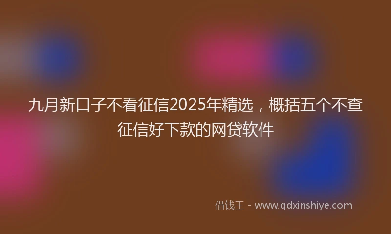 九月新口子不看征信2025年精选，概括五个不查征信好下款的网贷软件