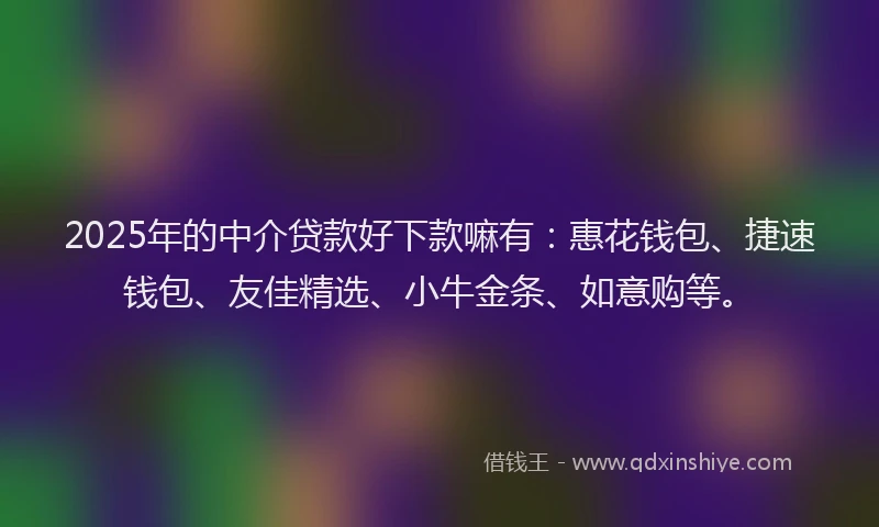 2025年的中介贷款好下款嘛有：惠花钱包、捷速钱包、友佳精选、小牛金条、如意购等。