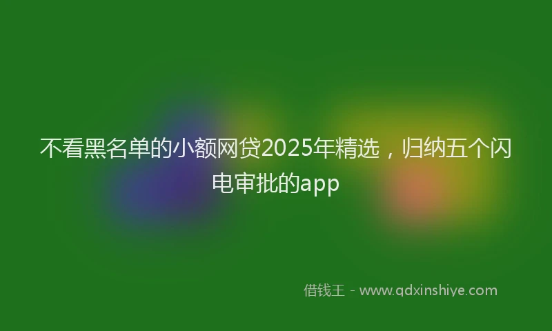 不看黑名单的小额网贷2025年精选，归纳五个闪电审批的app