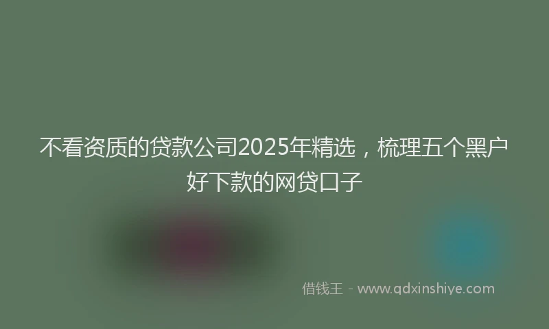 不看资质的贷款公司2025年精选，梳理五个黑户好下款的网贷口子