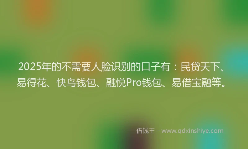 2025年的不需要人脸识别的口子有：民贷天下、易得花、快鸟钱包、融悦Pro钱包、易借宝融等。