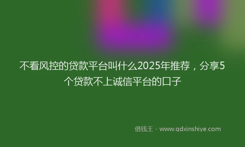 不看风控的贷款平台叫什么2025年推荐，分享5个贷款不上诚信平台的口子