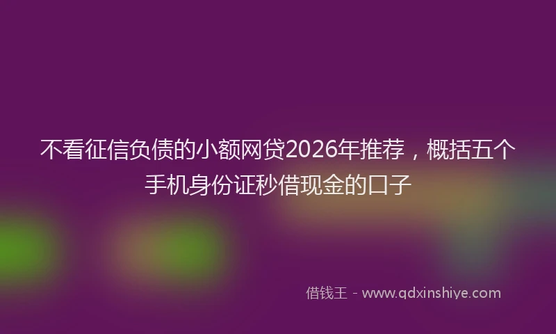 不看征信负债的小额网贷2026年推荐，概括五个手机身份证秒借现金的口子