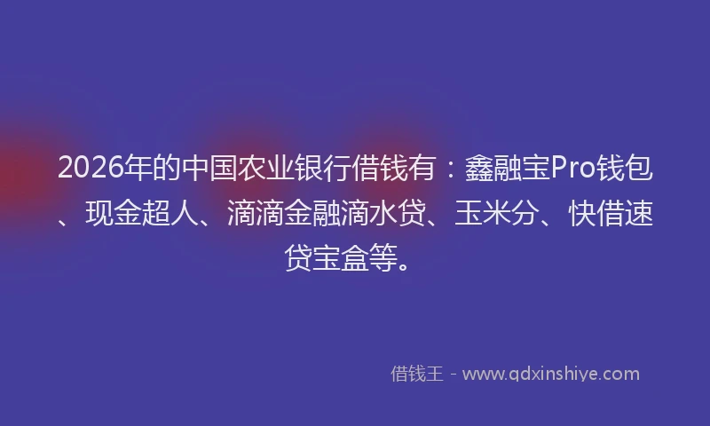 2026年的中国农业银行借钱有：鑫融宝Pro钱包、现金超人、滴滴金融滴水贷、玉米分、快借速贷宝盒等。