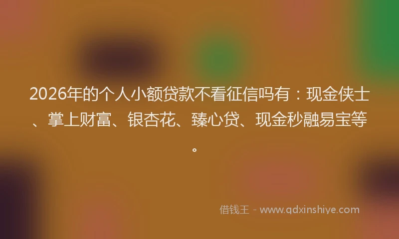 2026年的个人小额贷款不看征信吗有：现金侠士、掌上财富、银杏花、臻心贷、现金秒融易宝等。