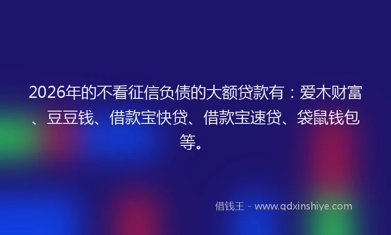 2026年的不看征信负债的大额贷款有：爱木财富、豆豆钱、借款宝快贷、借款宝速贷、袋鼠钱包等。