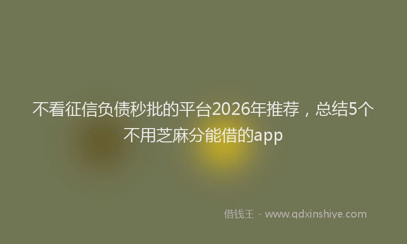 不看征信负债秒批的平台2026年推荐,总结5个不用芝麻分能借的app