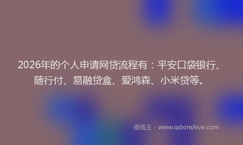 2026年的个人申请网贷流程有：平安口袋银行、随行付、易融贷盒、爱鸿森、小米贷等。