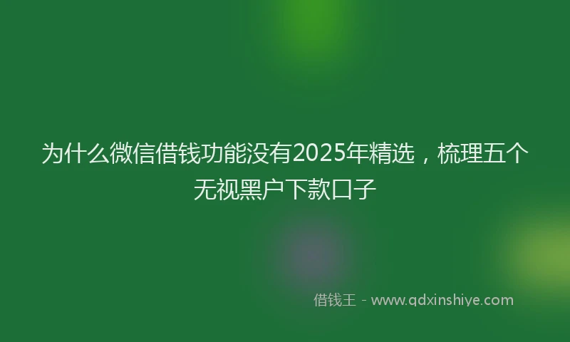 为什么微信借钱功能没有2025年精选，梳理五个无视黑户下款口子