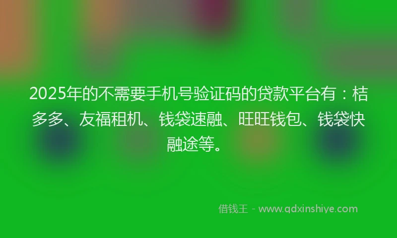 2025年的不需要手机号验证码的贷款平台有：桔多多、友福租机、钱袋速融、旺旺钱包、钱袋快融途等。
