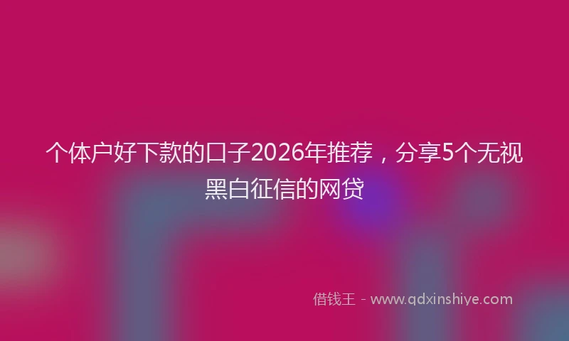 个体户好下款的口子2026年推荐，分享5个无视黑白征信的网贷