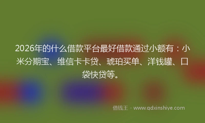 2026年的什么借款平台最好借款通过小额有：小米分期宝、维信卡卡贷、琥珀买单、洋钱罐、口袋快贷等。