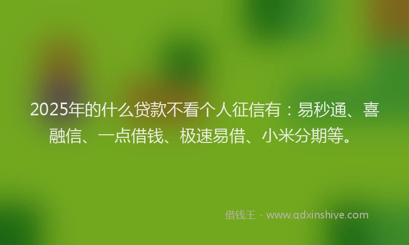 2025年的什么贷款不看个人征信有：易秒通、喜融信、一点借钱、极速易借、小米分期等。
