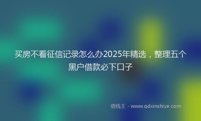 买房不看征信记录怎么办2025年精选，整理五个黑户借款必下口子