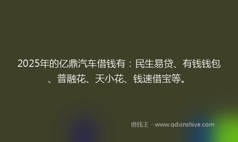 2025年的亿鼎汽车借钱有:民生易贷、有钱钱包、普融花、天小花、钱速借宝等。