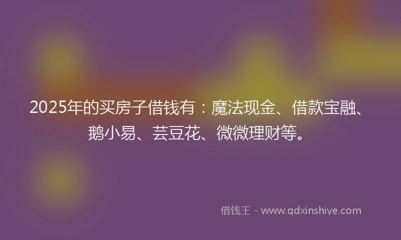 2025年的买房子借钱有：魔法现金、借款宝融、鹅小易、芸豆花、微微理财等。