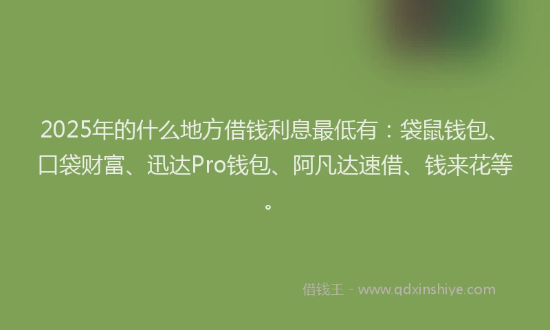 2025年的什么地方借钱利息最低有：袋鼠钱包、口袋财富、迅达Pro钱包、阿凡达速借、钱来花等。
