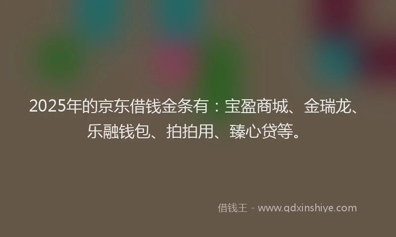 2025年的京东借钱金条有：宝盈商城、金瑞龙、乐融钱包、拍拍用、臻心贷等。