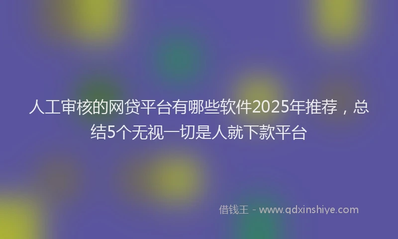 人工审核的网贷平台有哪些软件2025年推荐，总结5个无视一切是人就下款平台