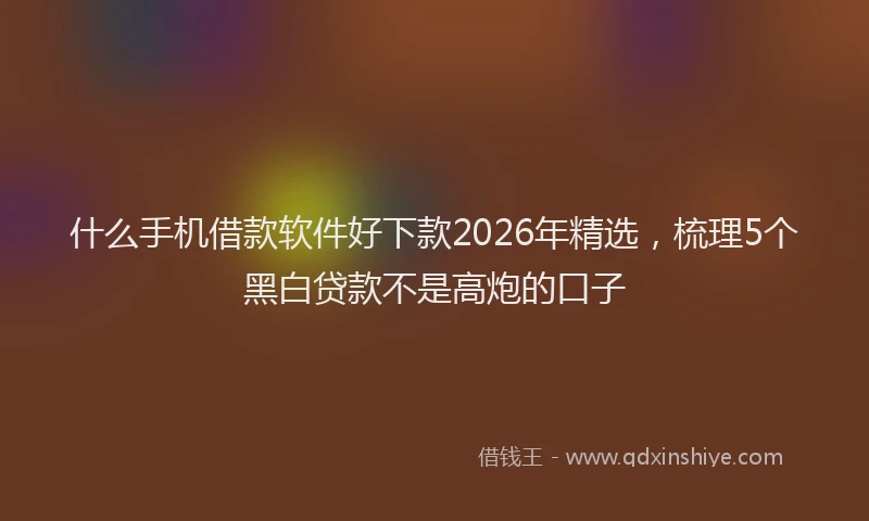 什么手机借款软件好下款2026年精选，梳理5个黑白贷款不是高炮的口子