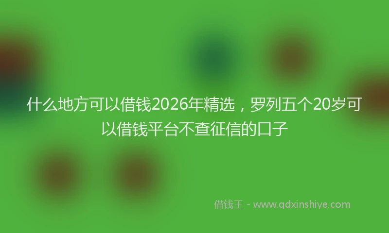 什么地方可以借钱2026年精选，罗列五个20岁可以借钱平台不查征信的口子