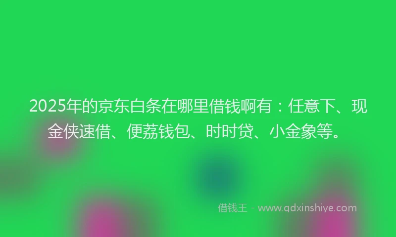 2025年的京东白条在哪里借钱啊有：任意下、现金侠速借、便荔钱包、时时贷、小金象等。