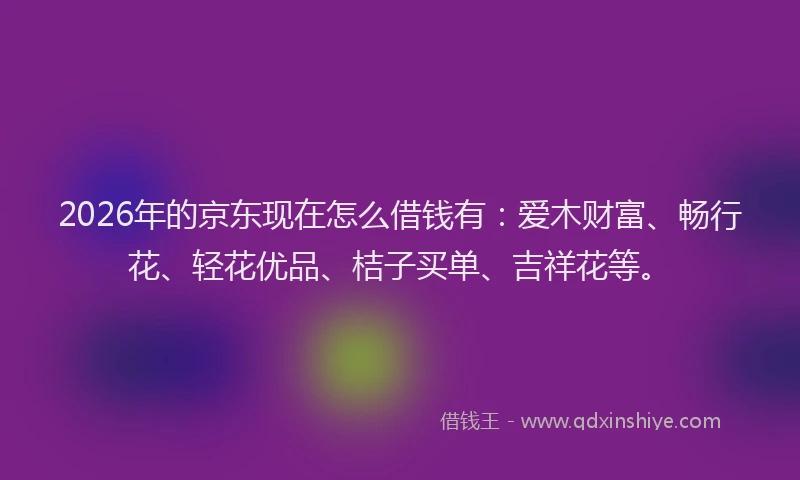 2026年的京东现在怎么借钱有：爱木财富、畅行花、轻花优品、桔子买单、吉祥花等。