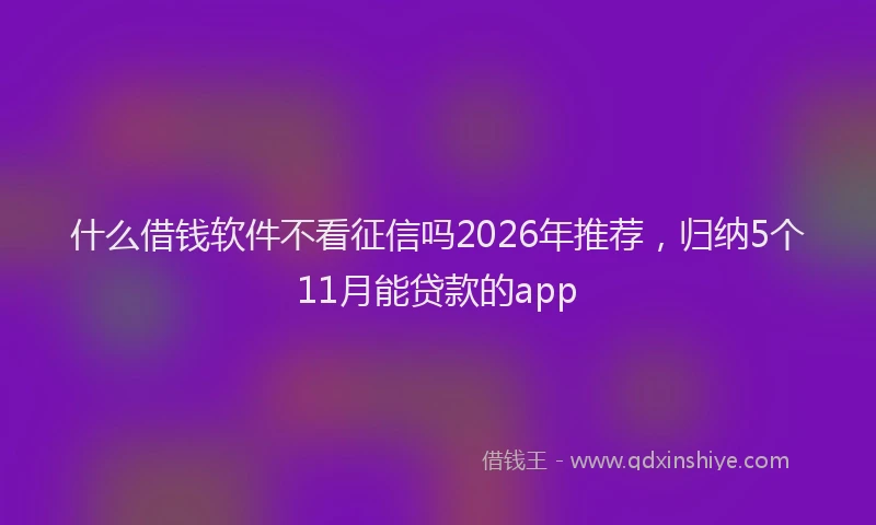 什么借钱软件不看征信吗2026年推荐,归纳5个11月能贷款的app