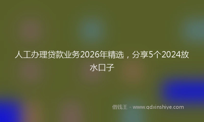 人工办理贷款业务2026年精选，分享5个2024放水口子