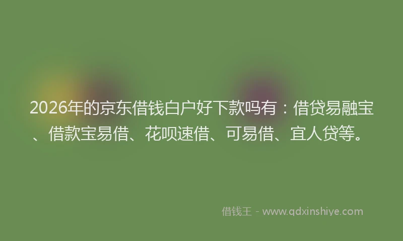 2026年的京东借钱白户好下款吗有：借贷易融宝、借款宝易借、花呗速借、可易借、宜人贷等。