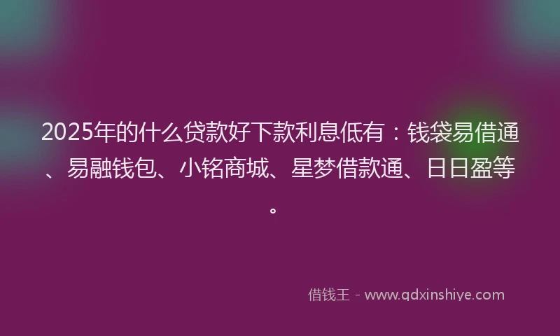 2025年的什么贷款好下款利息低有：钱袋易借通、易融钱包、小铭商城、星梦借款通、日日盈等。