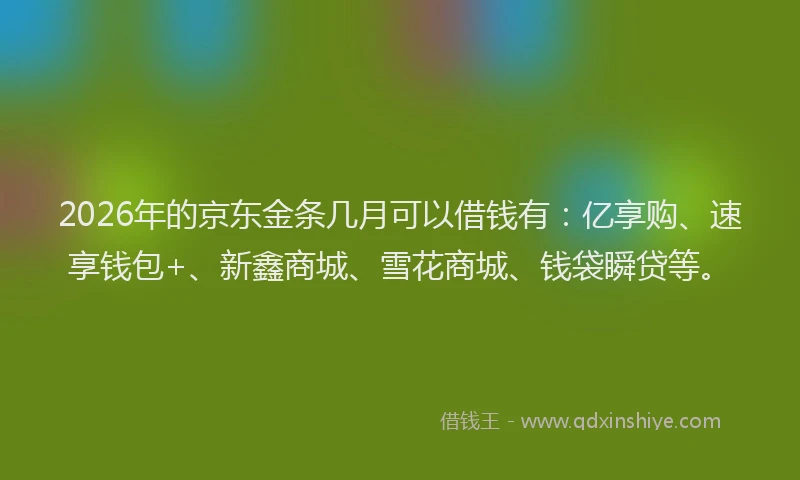 2026年的京东金条几月可以借钱有：亿享购、速享钱包+、新鑫商城、雪花商城、钱袋瞬贷等。