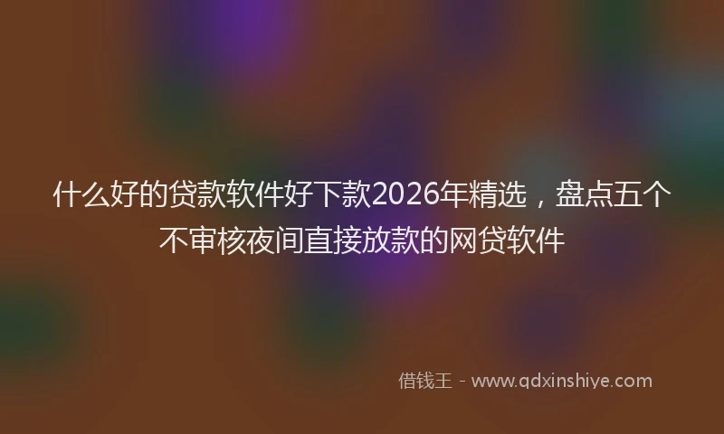 什么好的贷款软件好下款2026年精选，盘点五个不审核夜间直接放款的网贷软件