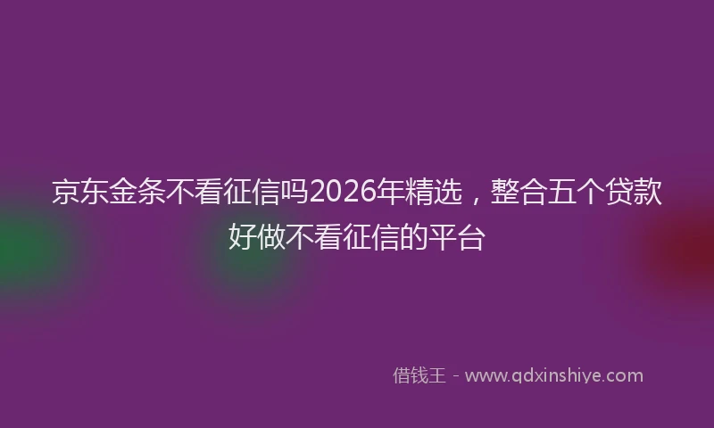 京东金条不看征信吗2026年精选，整合五个贷款好做不看征信的平台