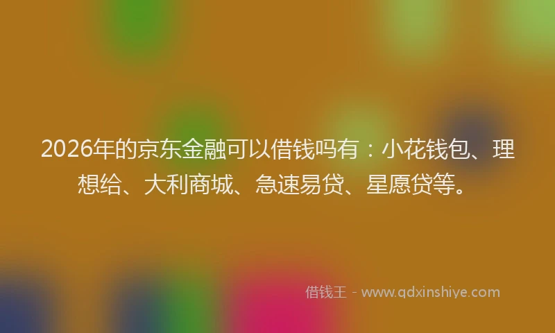 2026年的京东金融可以借钱吗有：小花钱包、理想给、大利商城、急速易贷、星愿贷等。
