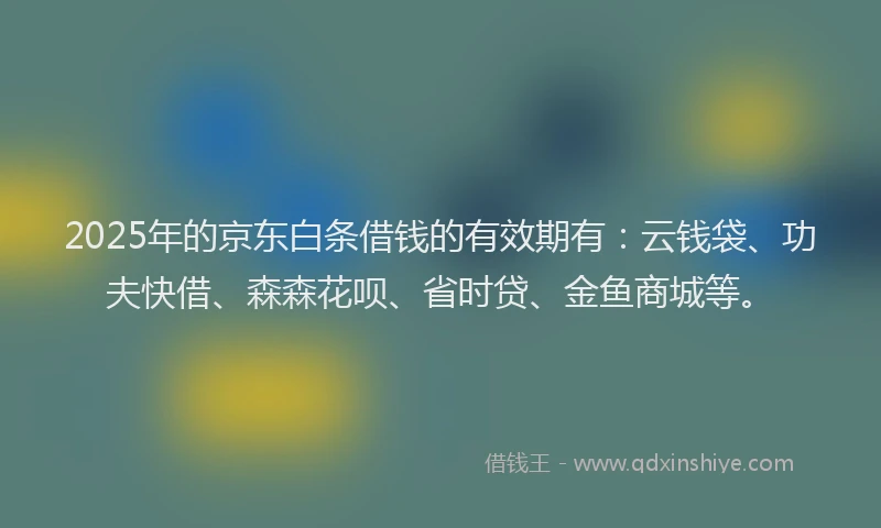2025年的京东白条借钱的有效期有：云钱袋、功夫快借、森森花呗、省时贷、金鱼商城等。