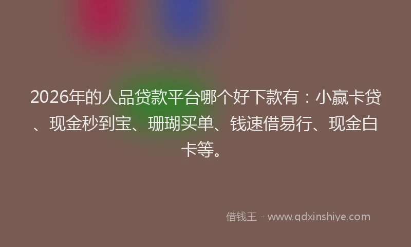 2026年的人品贷款平台哪个好下款有：小赢卡贷、现金秒到宝、珊瑚买单、钱速借易行、现金白卡等。