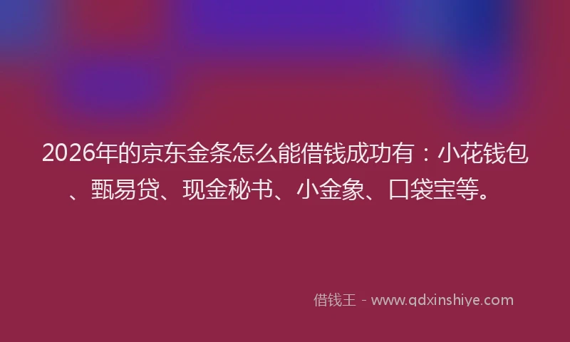 2026年的京东金条怎么能借钱成功有：小花钱包、甄易贷、现金秘书、小金象、口袋宝等。