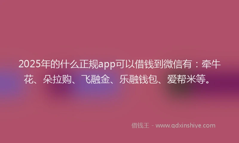 2025年的什么正规app可以借钱到微信有:牵牛花、朵拉购、飞融金、乐融钱包、爱帮米等。