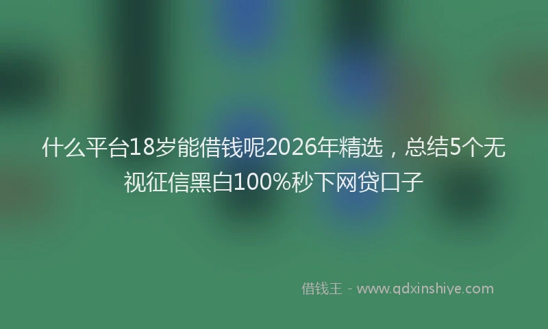 什么平台18岁能借钱呢2026年精选，总结5个无视征信黑白100%秒下网贷口子