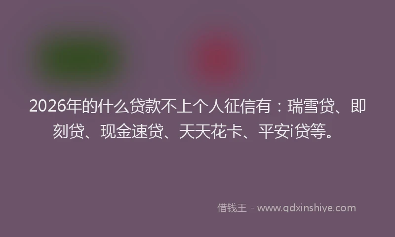 2026年的什么贷款不上个人征信有：瑞雪贷、即刻贷、现金速贷、天天花卡、平安i贷等。