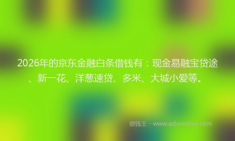 2026年的京东金融白条借钱有:现金易融宝贷途、新一花、洋葱速贷、多米、大城小爱等。