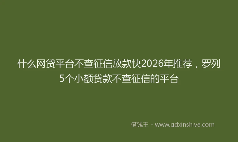 什么网贷平台不查征信放款快2026年推荐,罗列5个小额贷款不查征信的平台