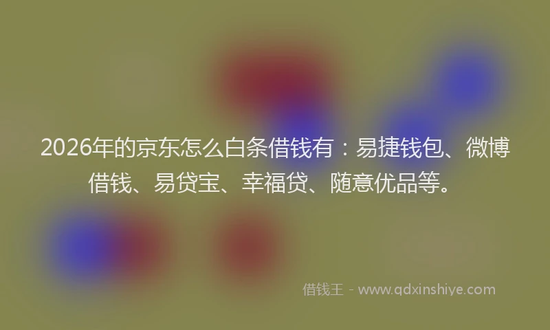 2026年的京东怎么白条借钱有：易捷钱包、微博借钱、易贷宝、幸福贷、随意优品等。