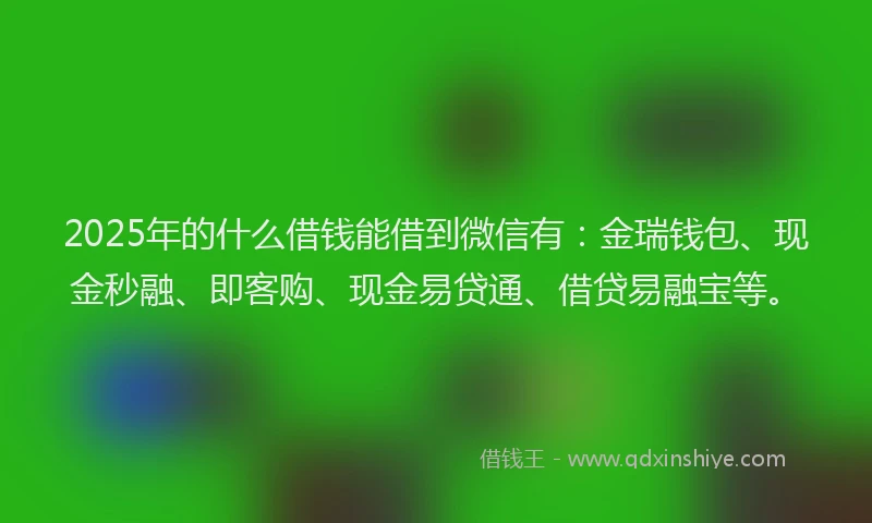 2025年的什么借钱能借到微信有：金瑞钱包、现金秒融、即客购、现金易贷通、借贷易融宝等。