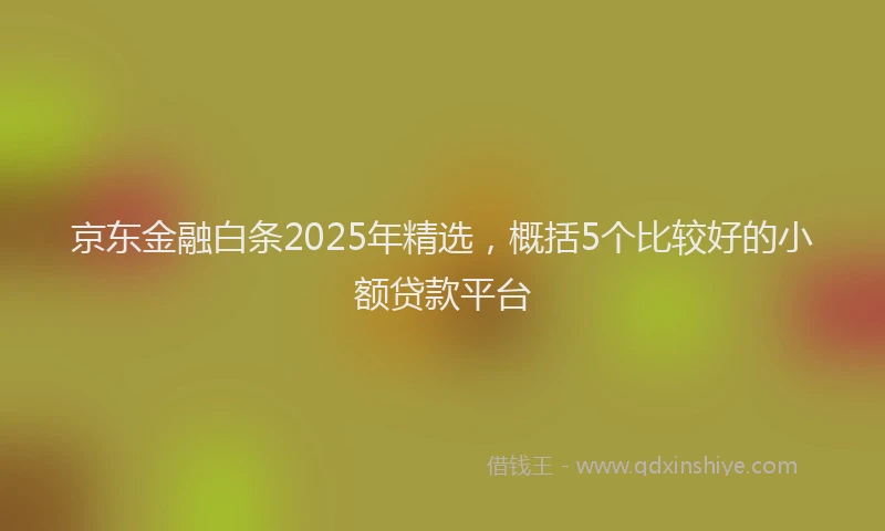 京东金融白条2025年精选，概括5个比较好的小额贷款平台