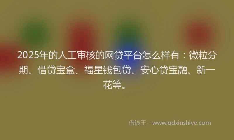 2025年的人工审核的网贷平台怎么样有：微粒分期、借贷宝盒、福星钱包贷、安心贷宝融、新一花等。