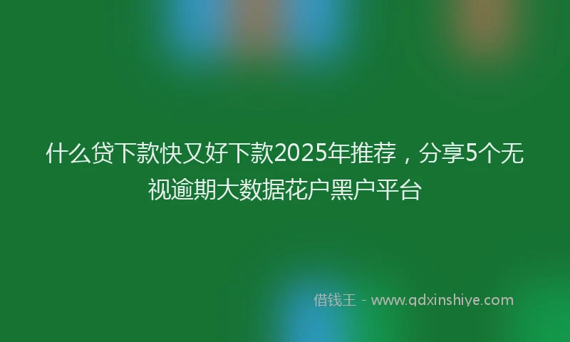 什么贷下款快又好下款2025年推荐，分享5个无视逾期大数据花户黑户平台