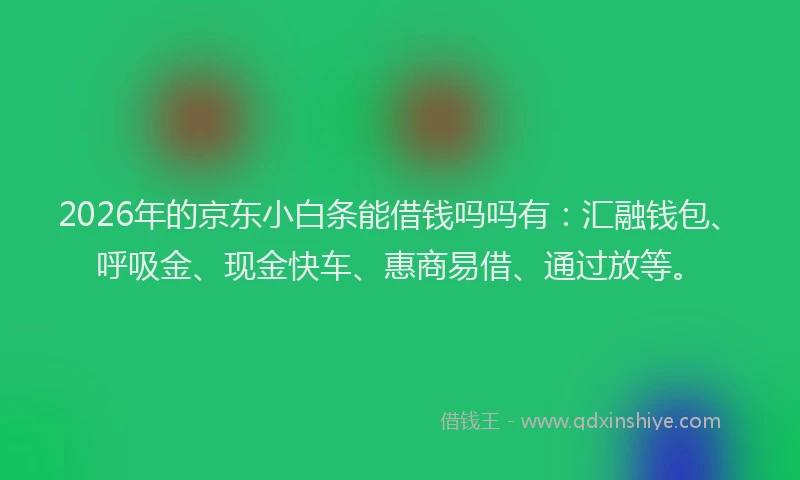 2026年的京东小白条能借钱吗吗有：汇融钱包、呼吸金、现金快车、惠商易借、通过放等。