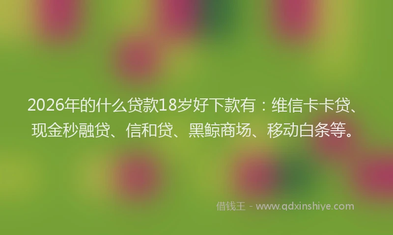 2026年的什么贷款18岁好下款有：维信卡卡贷、现金秒融贷、信和贷、黑鲸商场、移动白条等。